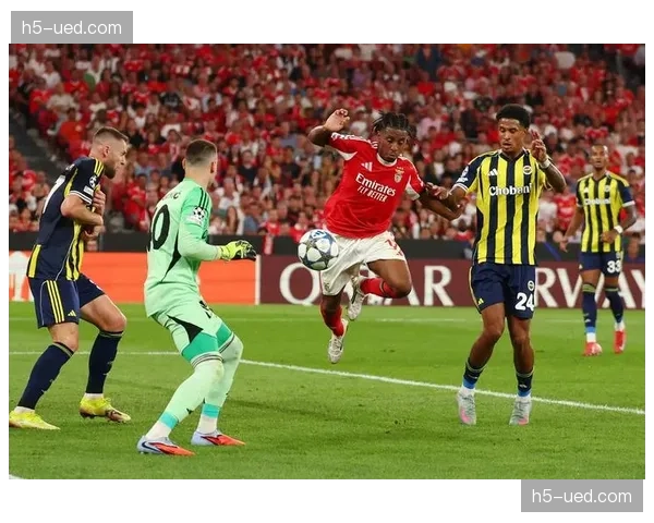 德国足球联盟（DFL）公布2025-26赛季中期财报，媒体版权收入再创新高